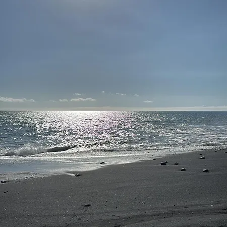 Monica-la Palma *