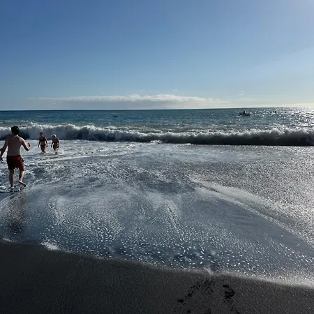 Monica-la Palma *