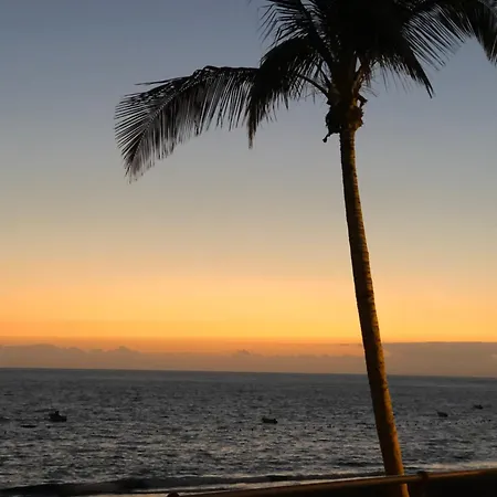 Mónica-la Palma